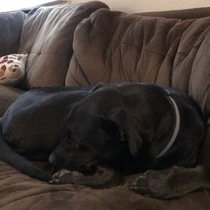 Meet your Posher, Lisa